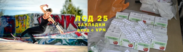 эйфоретик Баксан