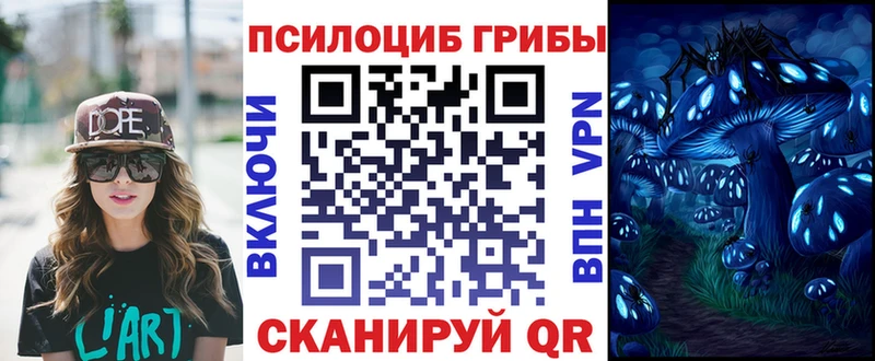 Галлюциногенные грибы Magic Shrooms  Новодвинск 